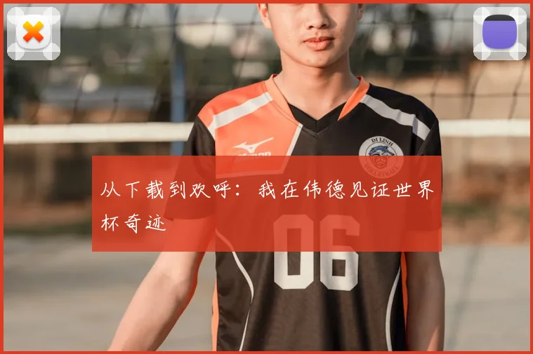 从下载到欢呼:我在伟德见证世界杯奇迹