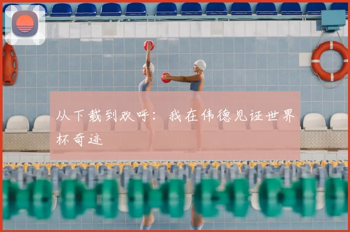 从下载到欢呼:我在伟德见证世界杯奇迹