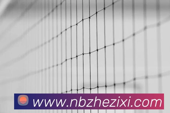 易倍emc品牌故事